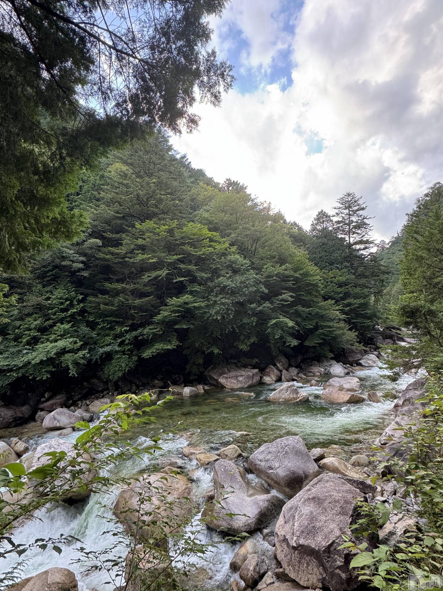 ��ˬ����Х��顦����֥���� �ץ���� ��ˬ(����� �ץ���� ����) ��2025ǯ8��19���̥�֥�����🍃��