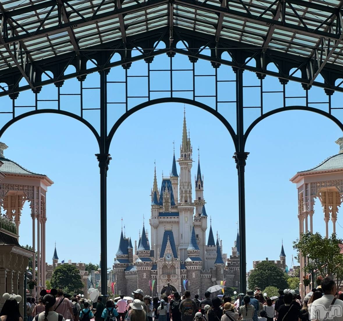 ��ˬ����Х��顦����֥���� �ץ���� ��ˬ(����� �ץ���� ����) ��2025ǯ9��17���̥�֥�����Disney🏰🐭��