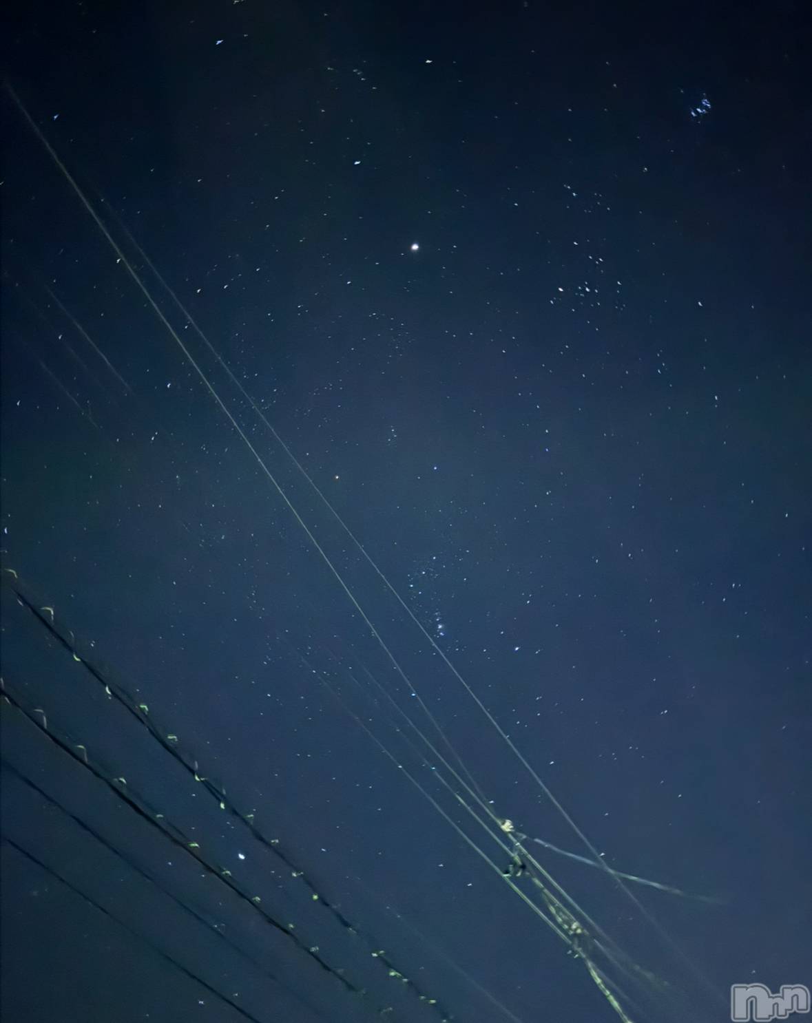 ��ˬ����Х��顦����֥���� �ץ���� ��ˬ(����� �ץ���� ����) ��2025ǯ10��22���̥�֥�����💫��