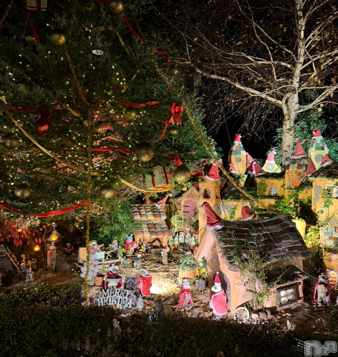 ��ˬ����Х��顦����֥���� �ץ���� ��ˬ(����� �ץ���� ����) ��2025ǯ12��5���̥�֥�����⭐︎��