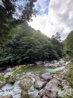 ��ˬ����Х��顦����֥���� �ץ���� ��ˬ(����� �ץ���� ����) �� �Ϥ뤫(21)��8��19���̥�֥�����🍃��