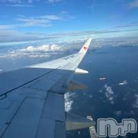 �� �Ϥ뤫(21) ��Ĺ155cm����ˬ����Х��顦����� ����� �ץ���� ��ˬ(����� �ץ���� ����)���ҡ�