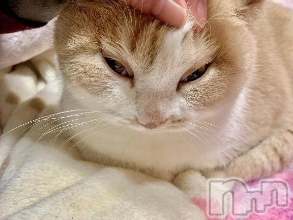 新潟デリヘル新潟市鳥屋野潟ちゃんこ(ニイガタシトヤノガタチャンコ) なつき(26)の11月26日写メブログ「しゅしゅごい､､､」