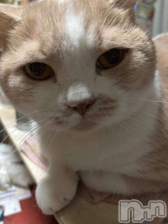 新潟デリヘル新潟市鳥屋野潟ちゃんこ(ニイガタシトヤノガタチャンコ)なつき(26)の2025年12月15日写メブログ「今日は」