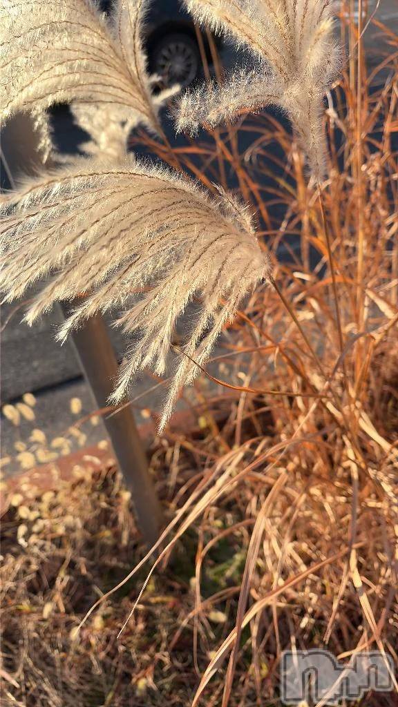 新潟デリヘル新潟市鳥屋野潟ちゃんこ(ニイガタシトヤノガタチャンコ)なつき(26)の2025年12月18日写メブログ「はっけん」