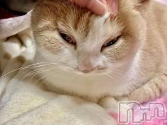 新潟デリヘル新潟市鳥屋野潟ちゃんこ(ニイガタシトヤノガタチャンコ) なつき(26)の11月26日写メブログ「しゅしゅごい､､､」