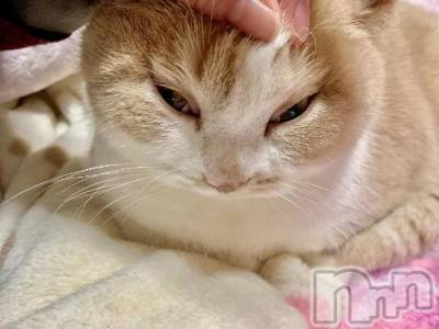 新潟デリヘル 新潟市鳥屋野潟ちゃんこ(ニイガタシトヤノガタチャンコ) なつき(26)の11月26日写メブログ「しゅしゅごい､､､」