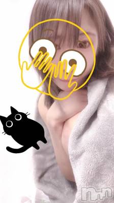 新潟デリヘル 新潟市鳥屋野潟ちゃんこ(ニイガタシトヤノガタチャンコ) なつき(26)の12月11日写メブログ「にゃん」