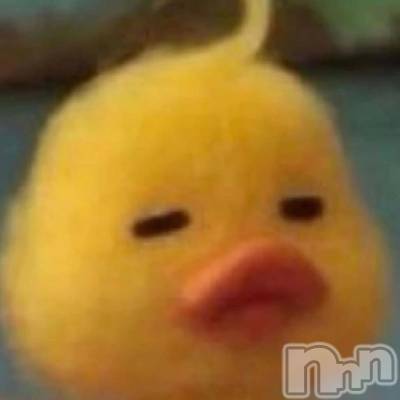 新潟デリヘル 新潟市鳥屋野潟ちゃんこ(ニイガタシトヤノガタチャンコ) なつき(26)の12月18日写メブログ「あんこ､､､」