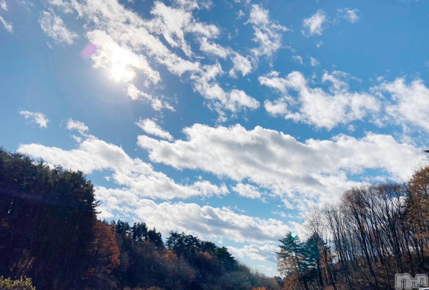 長岡デリヘル長岡人妻市(ナガオカヒトヅマイチ)れいか★御姉様タイプ(34)の2026年3月17日写メブログ「おはようございます☀️」