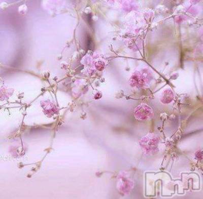 新潟デリヘル 五十路マダム新潟店(カサブランカグループ)(イソジマダムニイガタテン) 桜川晶(65)の3月27日写メブログ「今日は『さくらの日』」