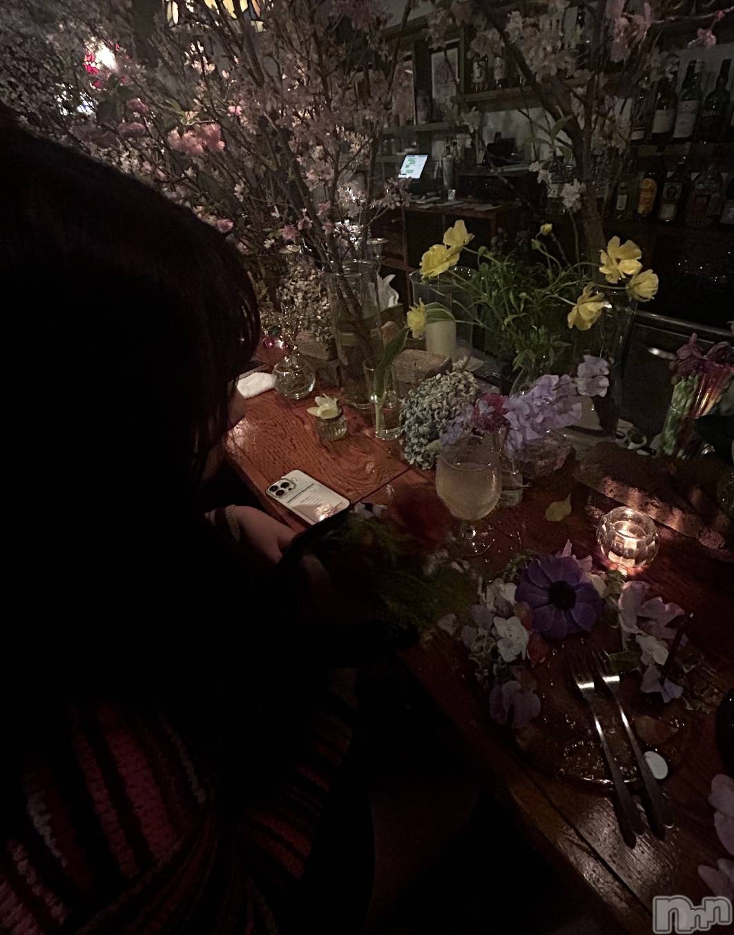 ����������ʥå��������륺�С��������ʥå� New KANAKO(�˥塼���ʥ�) ��2026ǯ1��10���̥�֥�����2026����ơ�