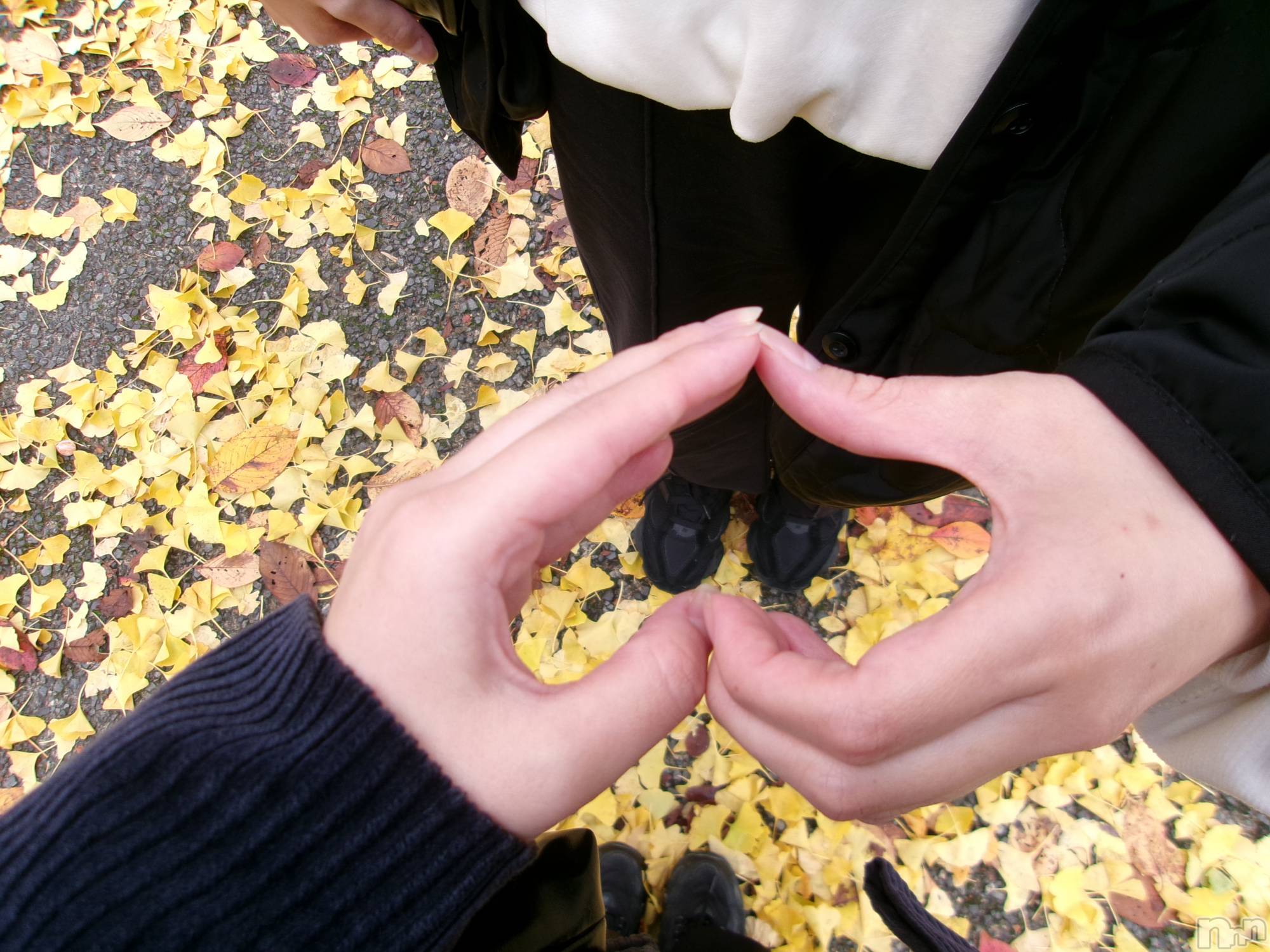 ʥå륺Сʥå New KANAKO(˥塼ʥ) 2025ǯ1115̥֥🍁