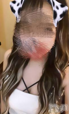 㡦ȯĥꥢ󥺥Ƥޤơ(ޥƥåȥ˥) ɡꤢ(22)1016̥֥M