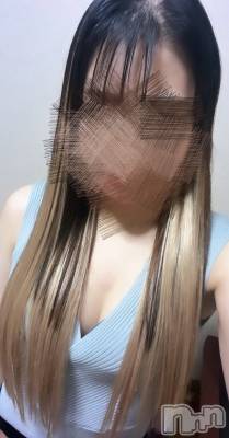 㡦ȯĥꥢ󥺥Ƥޤơ(ޥƥåȥ˥) ɡꤢ(22)1024̥֥Ϥɤء