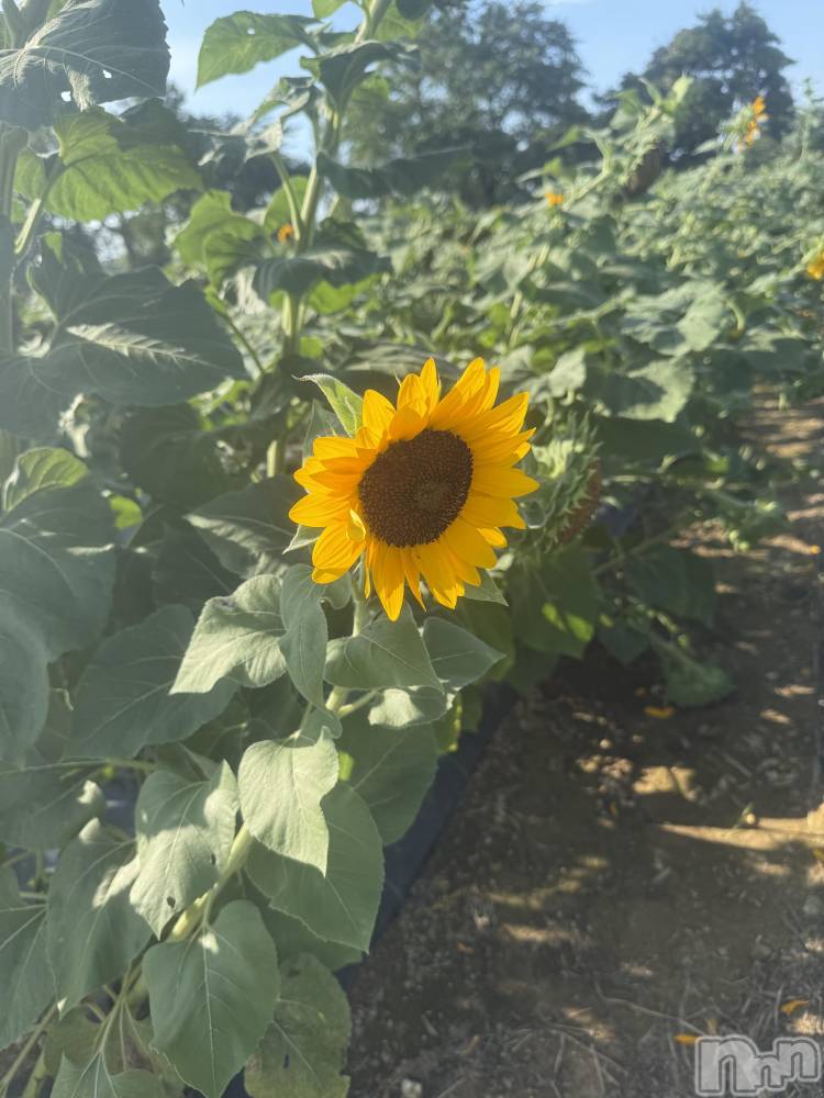 ʥå륺С륺С ӥ٥˥塼(륺Сӥ٥˥塼) ʤ826ֲ̥֥Ƥ餷🌻