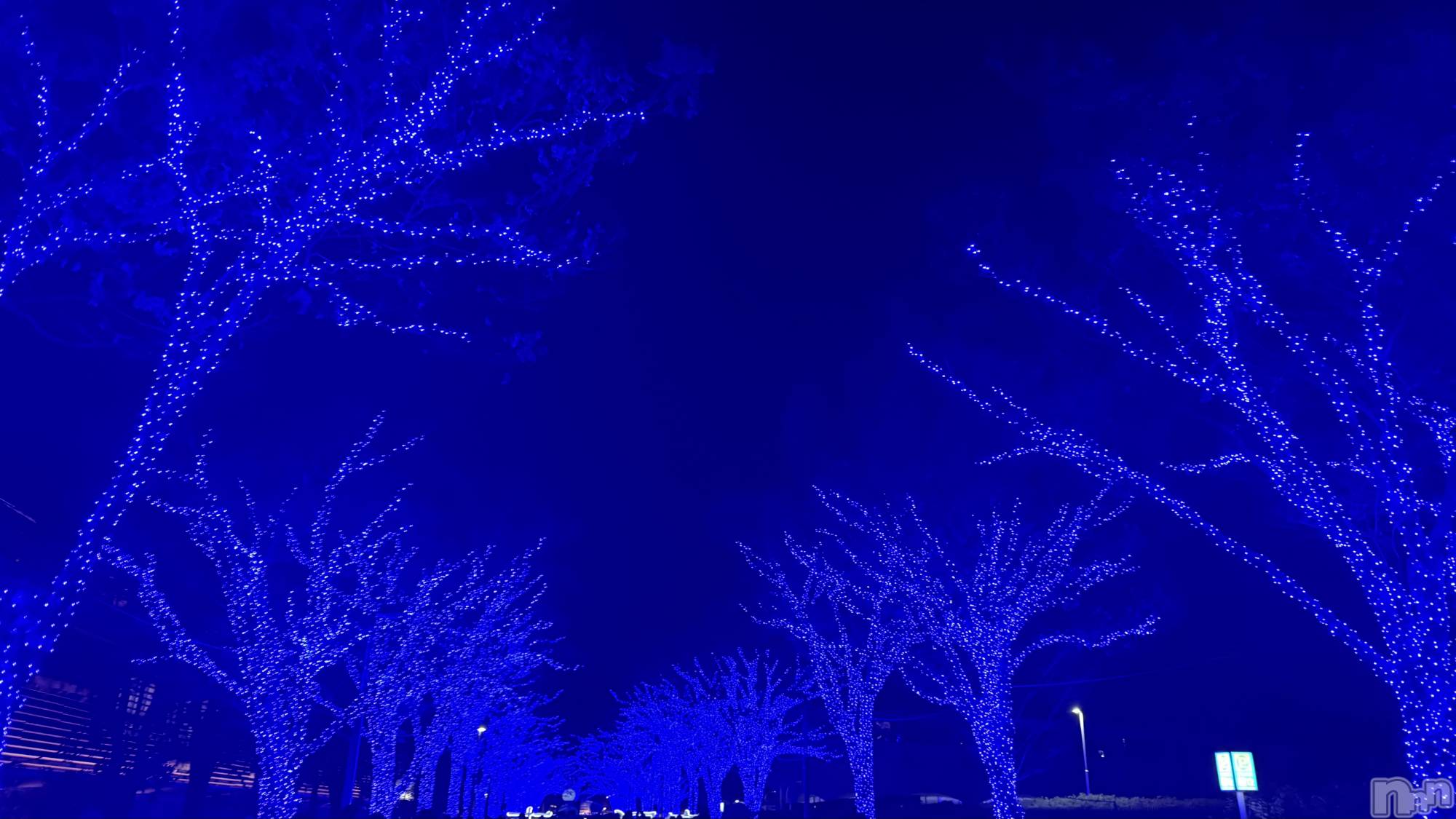 ʥå륺Сʥåܤ(ʥåܥ) 2025ǯ128̥֥ߤȤ❄️