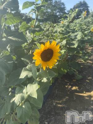 ʥå륺С륺С ӥ٥˥塼(륺Сӥ٥˥塼) ʤ826ֲ̥֥Ƥ餷🌻