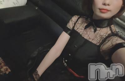 ĹХ顦Lounge Louis(饦󥸥륤) ʤ1031̥֥ϥϥ󥤥٥Ⱥǽ