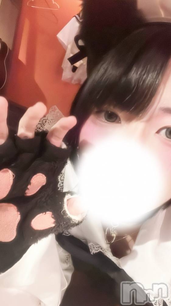 Įʥå륺СץBarʥ(ץСʥ) 1121̥֥🐾🐾