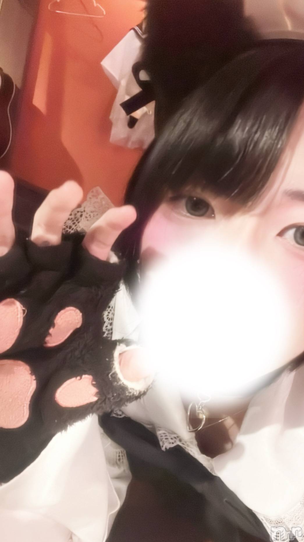 Įʥå륺СץBarʥ(ץСʥ) 2025ǯ1121̥֥🐾🐾