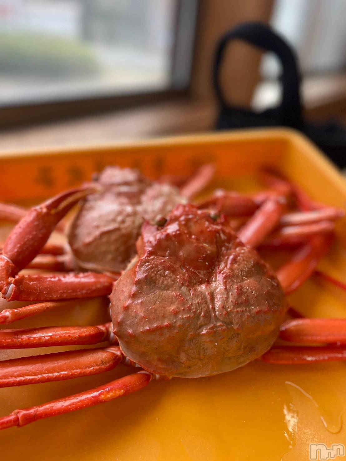 ĹХ顦CLUB FELIX( եꥯ) 2025ǯ1120̥֥֤ФϤ