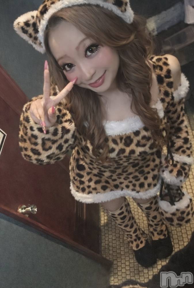 ��Į���ʥå��������륺�С����󥻥ץȥС� Lily(���󥻥ץȥС���꡼) �ġ�����󡣤�4��14���̥�֥����ֶ����ơ���🧏‍��️��