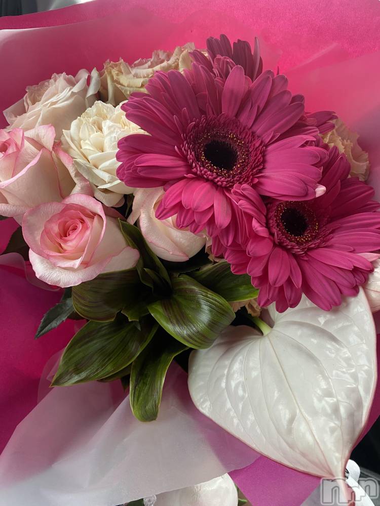 ��Į���ʥå��������륺�С����󥻥ץȥС� Lily(���󥻥ץȥС���꡼) �ġ�����󡣤�5��4���̥�֥����ֽ���💐��