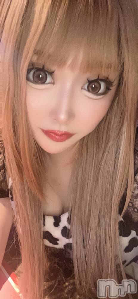 ��Į���ʥå��������륺�С����󥻥ץȥС� Lily(���󥻥ץȥС���꡼) �ġ�����󡣤�6��17���̥�֥����֤ߤ�ʲ����Ƥ롼������