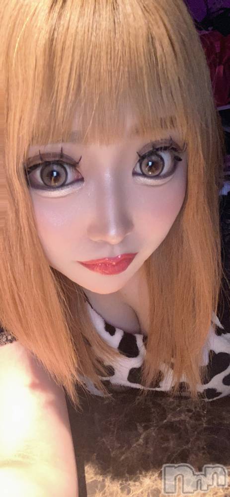 ��Į���ʥå��������륺�С����󥻥ץȥС� Lily(���󥻥ץȥС���꡼) �ġ�����󡣤�6��27���̥�֥����֤ͤ�ͤ�🥱‪‪‬ᐝ��