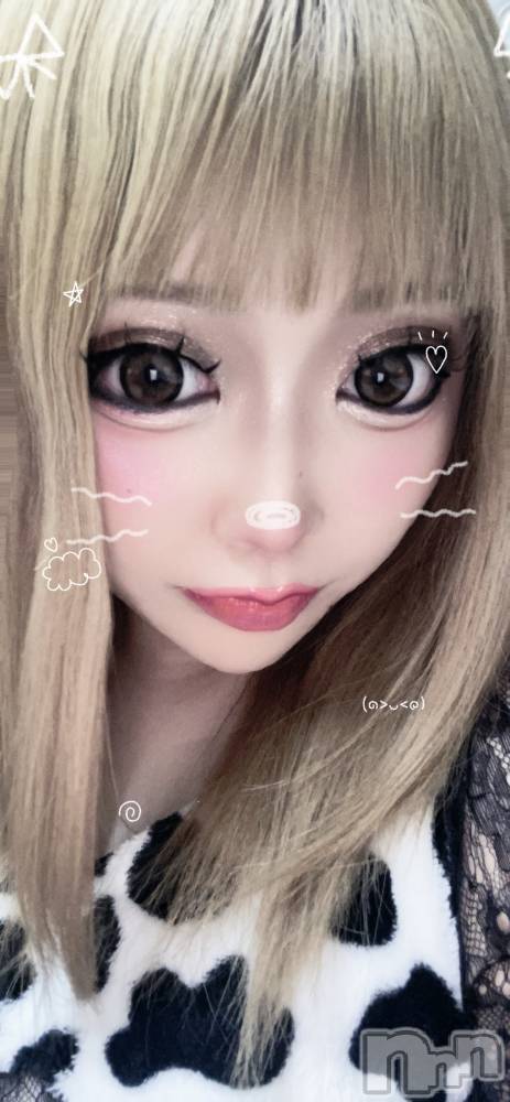 ��Į���ʥå��������륺�С����󥻥ץȥС� Lily(���󥻥ץȥС���꡼) �ġ�����󡣤�7��3���̥�֥����ִ��դȼպ��
