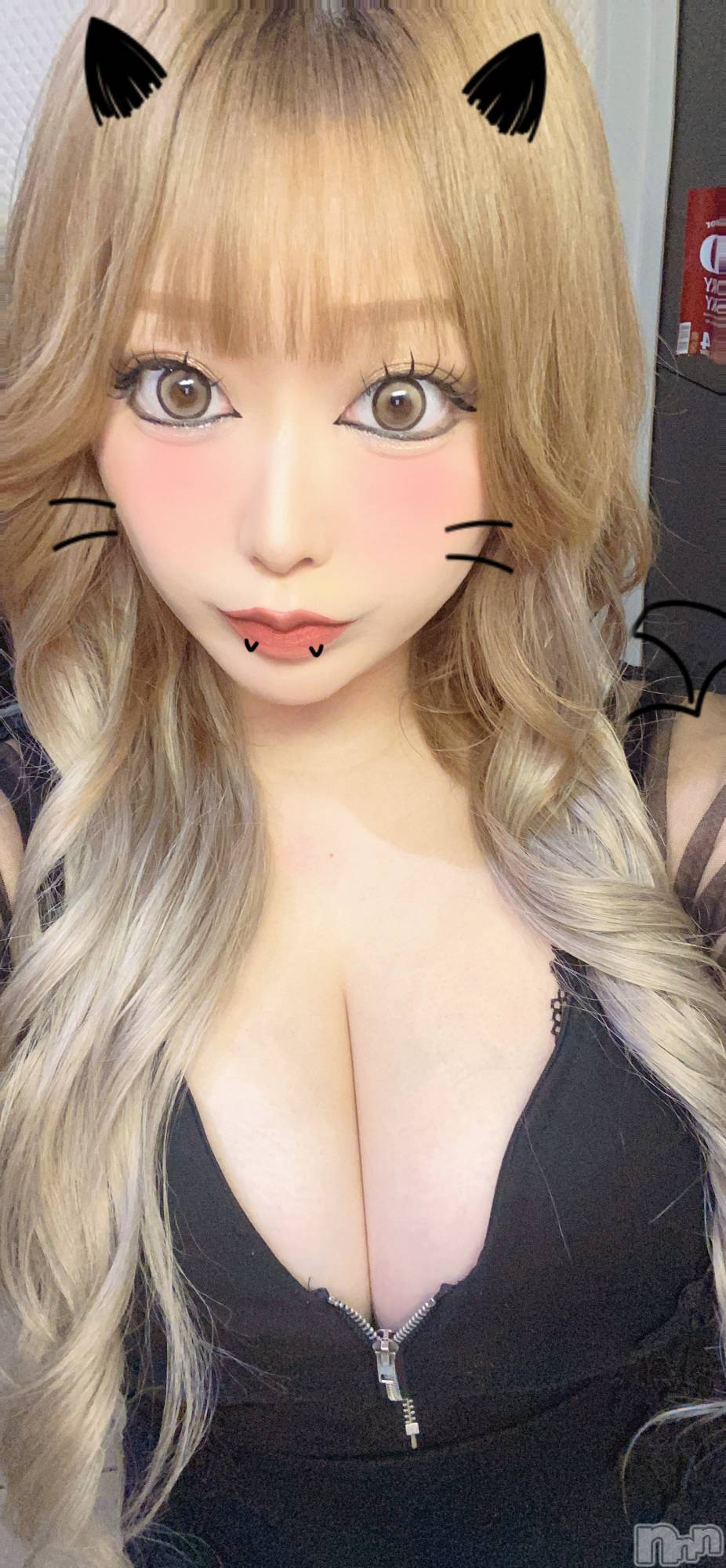 Įʥå륺СLounge Rino(饦󥸥) 2025ǯ925ְ̥֥㤦🙈