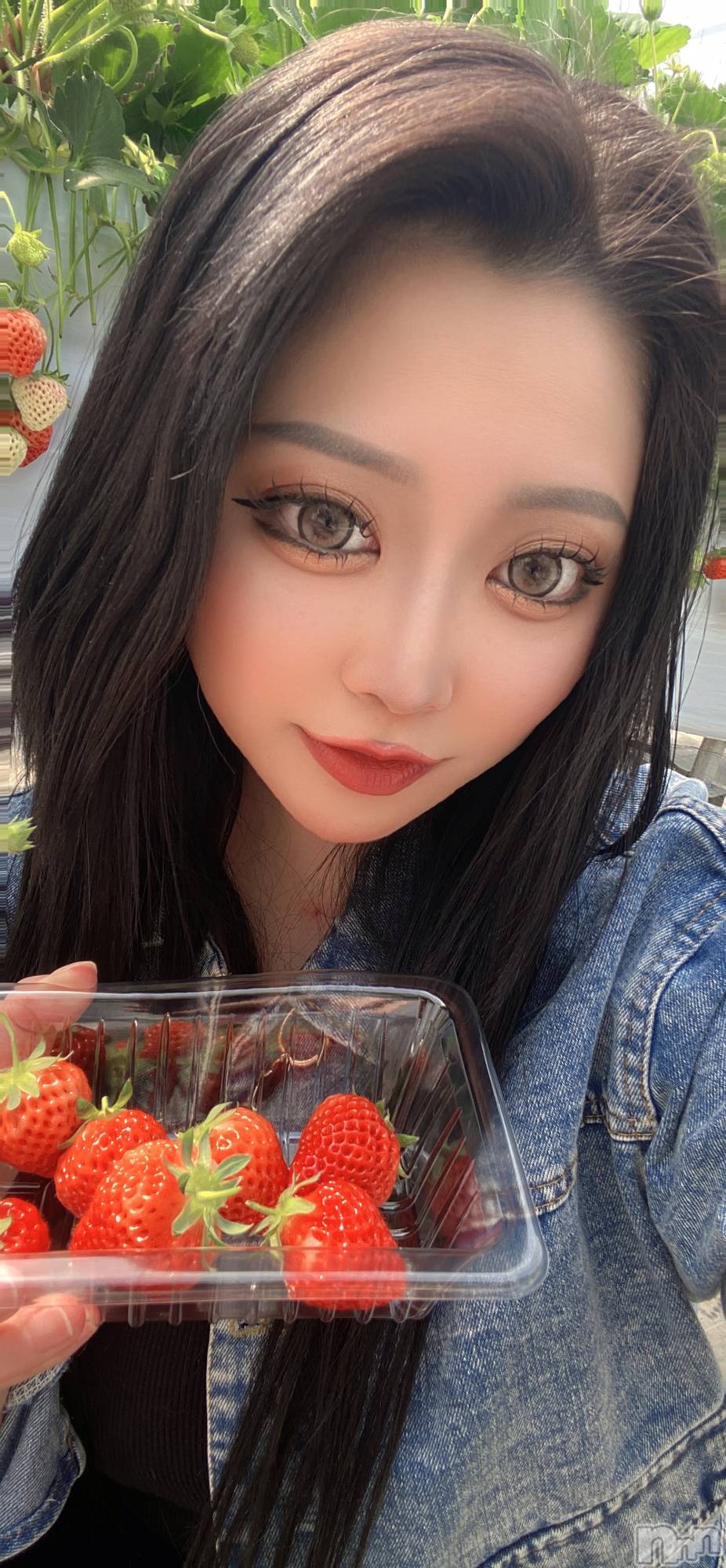 ��Į���ʥå��������륺�С����󥻥ץȥС� Lily(���󥻥ץȥС���꡼) ��2026ǯ4��13���̥�֥�����🍓🍓🍓��