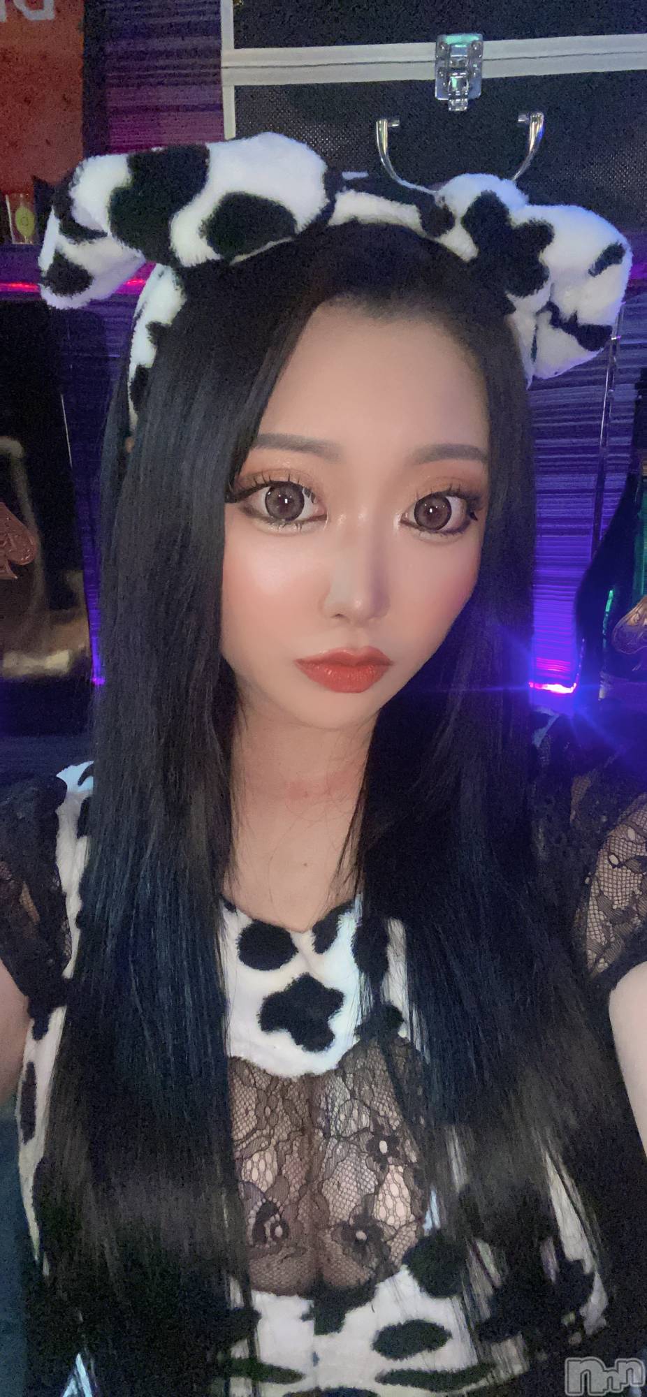 ��Į���ʥå��������륺�С����󥻥ץȥС� Lily(���󥻥ץȥС���꡼) ��2026ǯ4��16���̥�֥�����🐮��🐶����