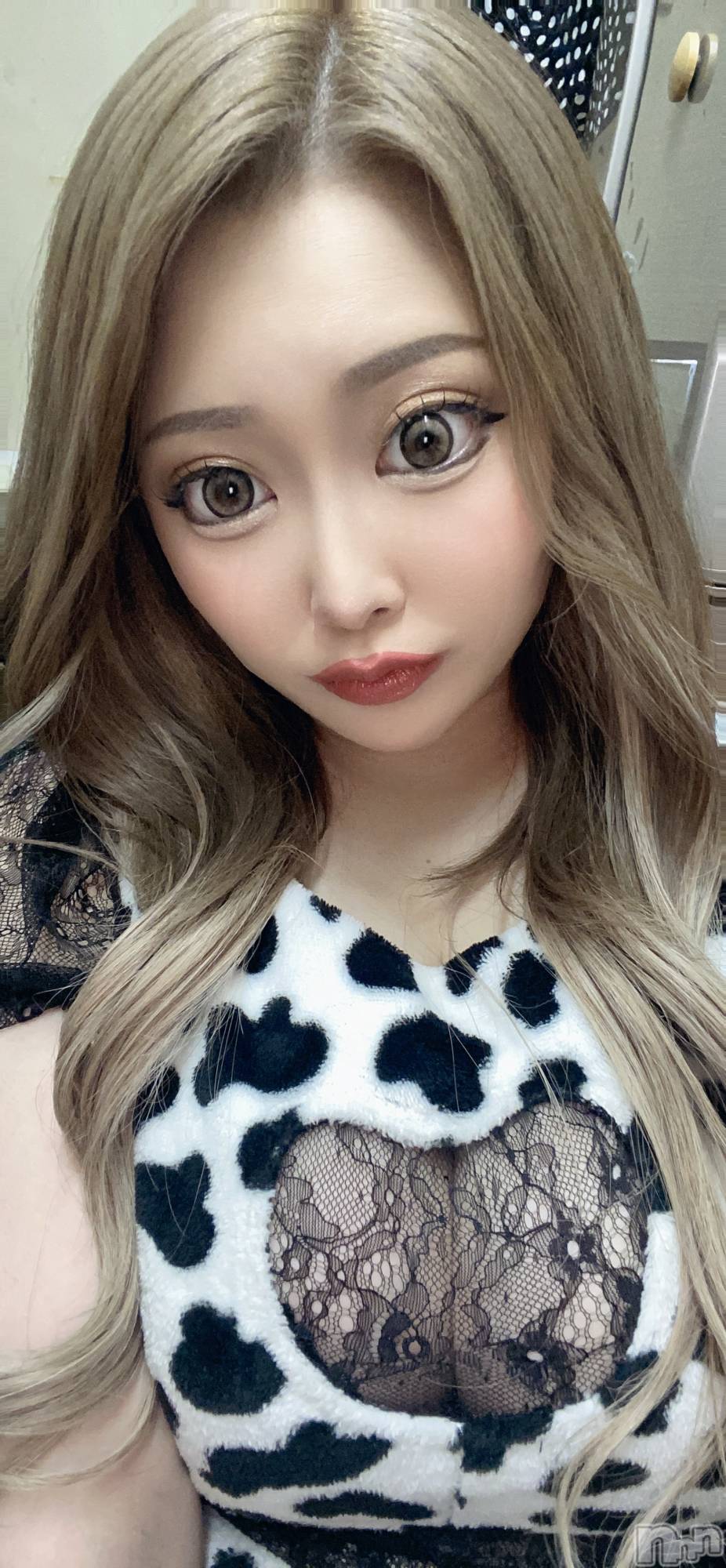 ��Į���ʥå��������륺�С����󥻥ץȥС� Lily(���󥻥ץȥС���꡼) ��2026ǯ5��20���̥�֥����ֿ��ͤ����إ餷�Ƥ�餷����