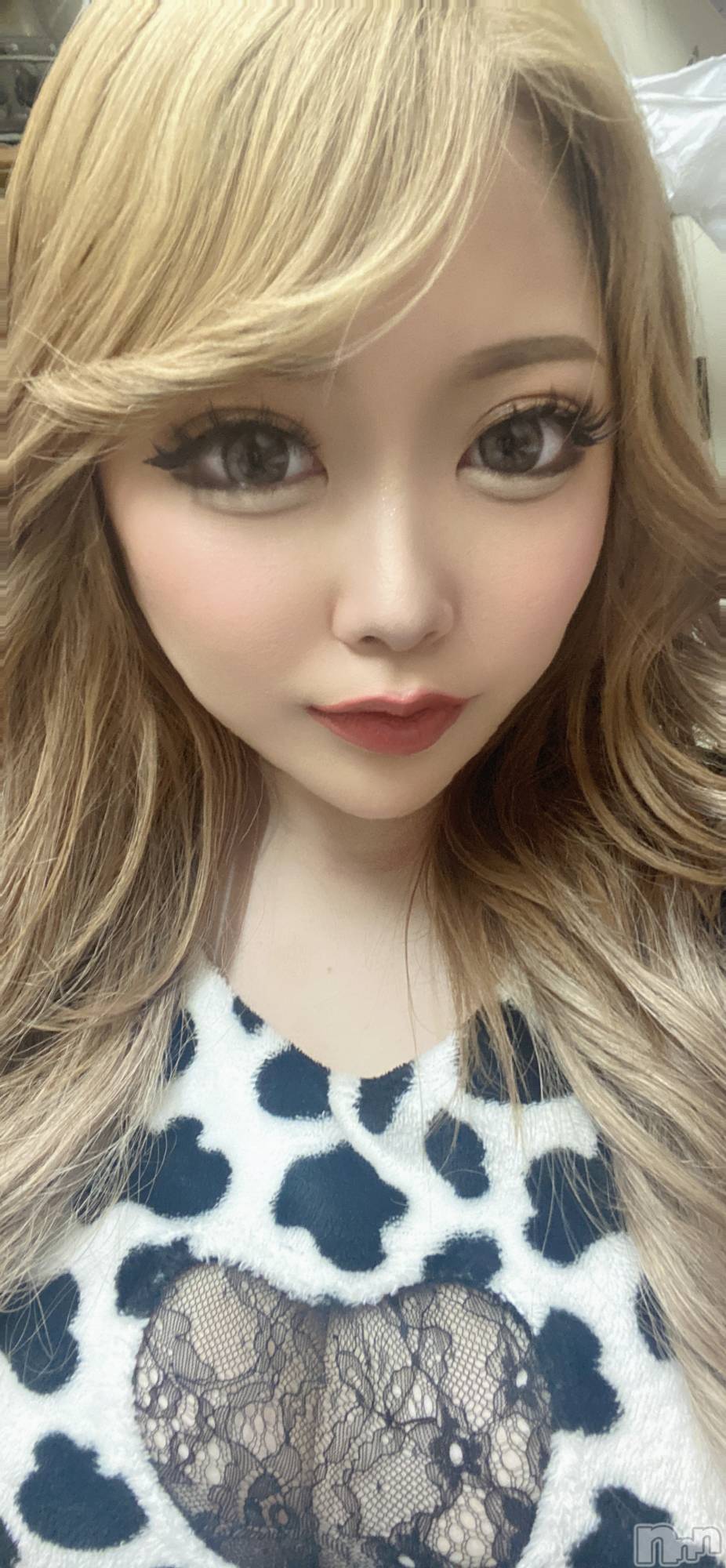 ��Į���ʥå��������륺�С����󥻥ץȥС� Lily(���󥻥ץȥС���꡼) ��2026ǯ5��29���̥�֥�������ȱ��🌊��