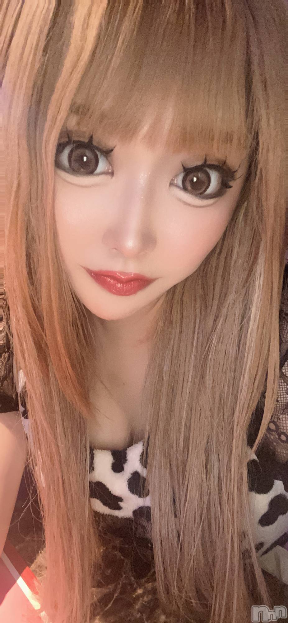 ��Į���ʥå��������륺�С����󥻥ץȥС� Lily(���󥻥ץȥС���꡼) ��2026ǯ6��17���̥�֥����֤ߤ�ʲ����Ƥ롼������