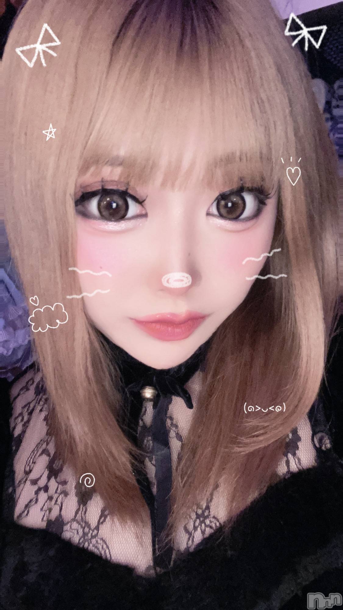 ��Į���ʥå��������륺�С����󥻥ץȥС� Lily(���󥻥ץȥС���꡼) ��2026ǯ6��24���̥�֥������߱���������