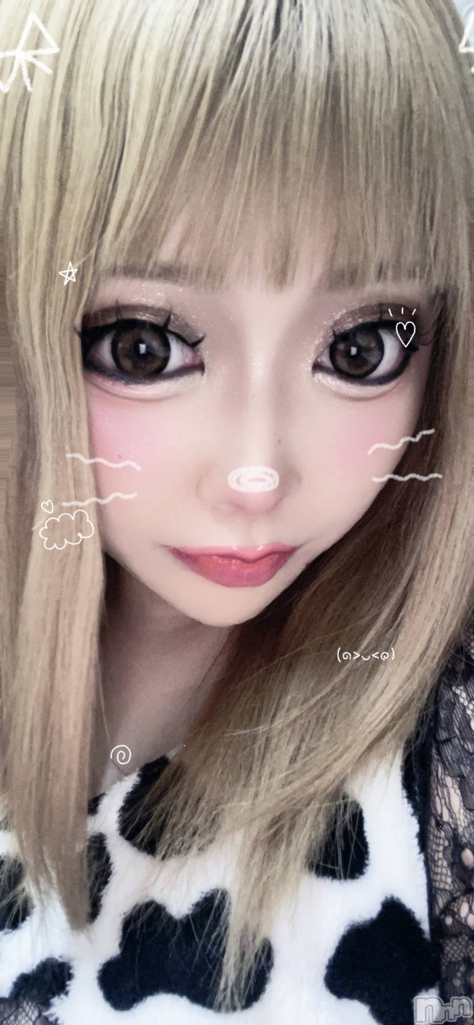 ��Į���ʥå��������륺�С����󥻥ץȥС� Lily(���󥻥ץȥС���꡼) ��2026ǯ7��3���̥�֥����ִ��դȼպ��