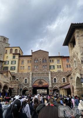 Įʥå륺СLounge Lily(饦󥸥꡼) ޥ(24)1028̥֥֥饹🌟💎✨️