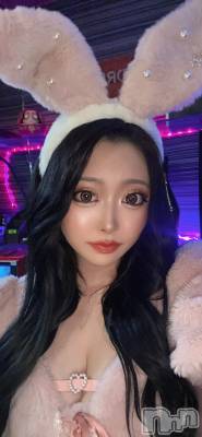 ��Į���ʥå��������륺�С� ���󥻥ץȥС� Lily(���󥻥ץȥС���꡼) �ġ�����󡣤β���(1����)