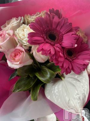 ��Į���ʥå��������륺�С����󥻥ץȥС� Lily(���󥻥ץȥС���꡼) �ġ������(25)��5��4���̥�֥����ֽ���💐��