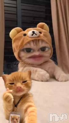 �����ơ�