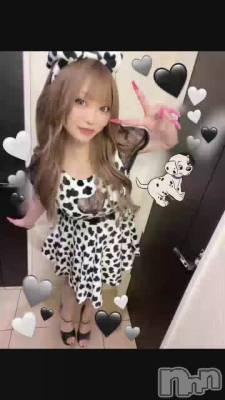 🐄⸒⸒ʤƤ‼️