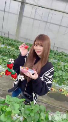 �����ʵ���🍓🐄