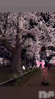 �⤦�٤�����