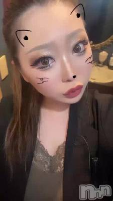 �ƶ����������