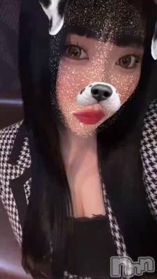 ̲�������ʤΤ�����