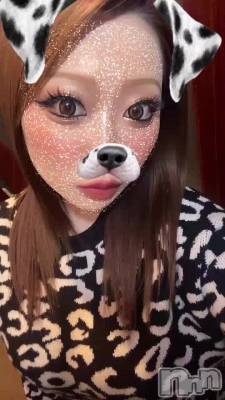 ñ�㤹���Ƥ�