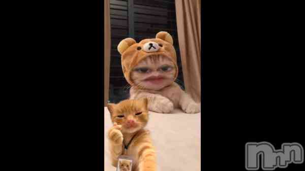 �ֽ����ơ���
